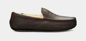 ASCOT BROWN -UGG