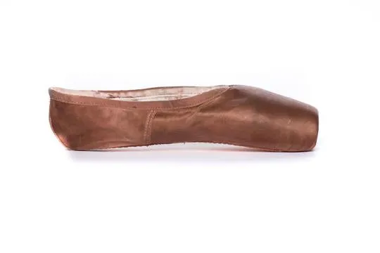 Fabric Pointe Paint