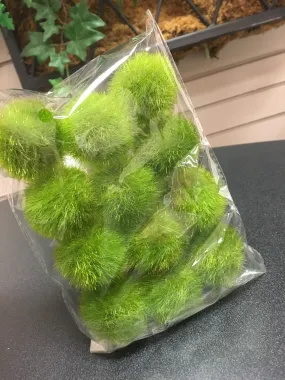 Fuzzy Green Moss Balls - qty 12 - 1.75