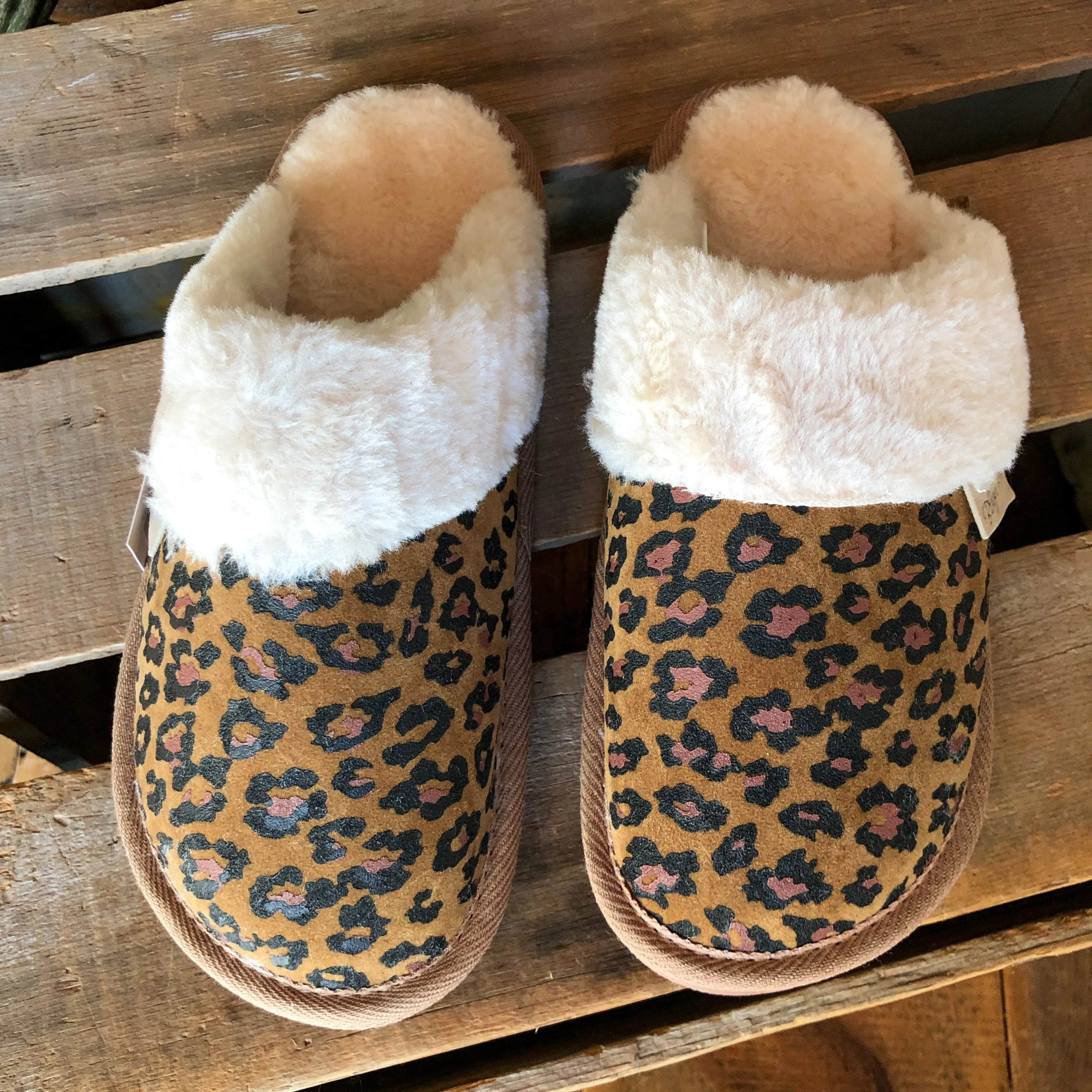 Leopard Slippers