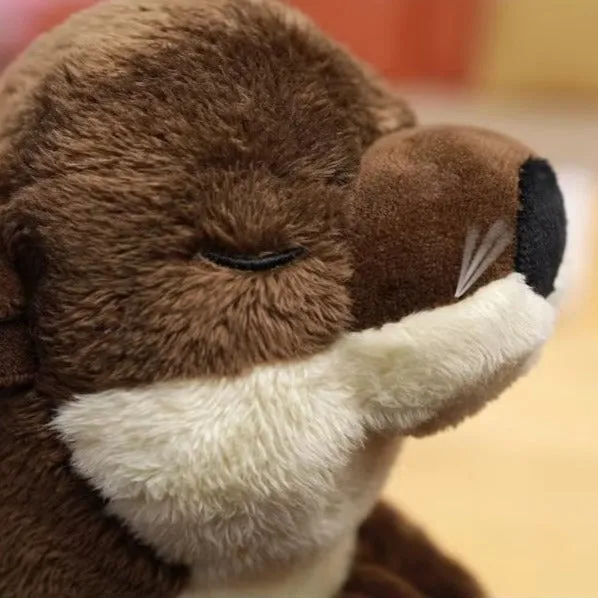 Wishing Otter Plush Toy